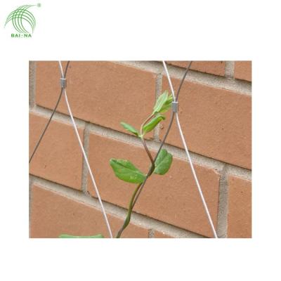 China 30 years. Eco - Friendly Flexible SS Wire Rope Plant Trellis / Plant Climbing Green Wall Mesh for sale