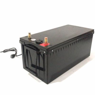 Cina Black Stable 24V Batteria di litio marina corrente di scarica multiuso 1.5C in vendita