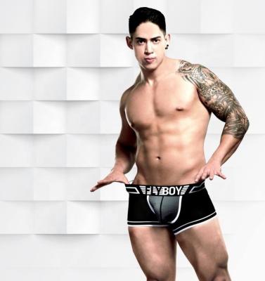 China Antibacterial Custom Brand Mesh Fabric Man Boxer Briefs Breathable Underwear for sale