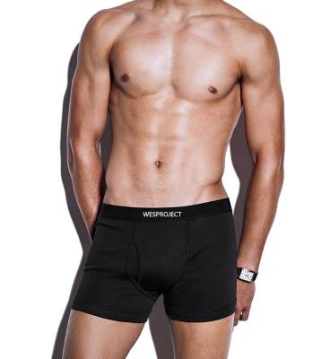 China European Factory Mens Underwear Antibacterial Custom Long Boxer Briefs Male Elastic Underwear For Man for sale