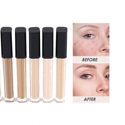 China Moisturizer Eye Concealer Pencil Face Foundation 8 Colors Full Coverage Liquid Suit For All Skin Face Makeup Foundation Ptivate Label for sale