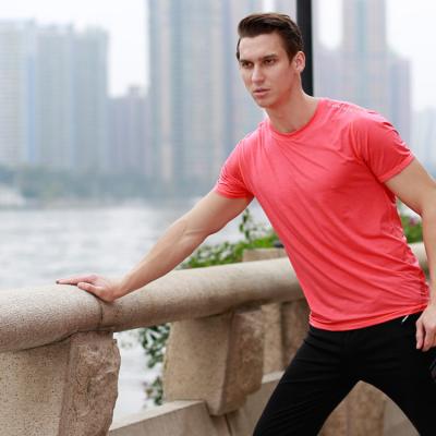 China 2021 OEM Viable High Quality Cotton Men's Gym Empty T-Shirt 100% for sale