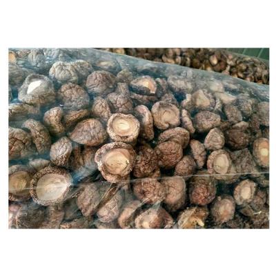 China Dried Dehydrated Shiitake Mushroom Processing Dried Champignon Best Quality for sale