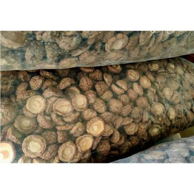 China Wholesale Price Pure Black Dried Mushrooms Bag 1kg Dried Dried Mushrooms for sale