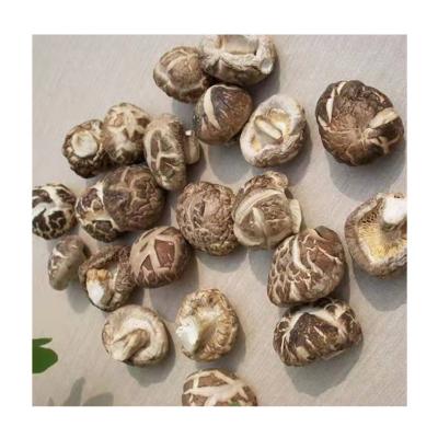 China Dried dry shiitake mushroom is organic dried food high quality shiitake mushroom for sale