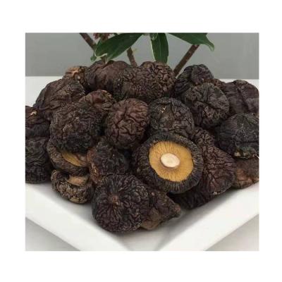 China Factory Dried Wholesale Sell 2-4CM Dried Dried Shiitake Mushroom Mushroom for sale