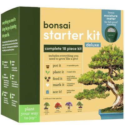 China Art Decor Wholesale Indoor Garden Pine Starter Kit for Decoration Bonsai Tree Indoor Kit for sale