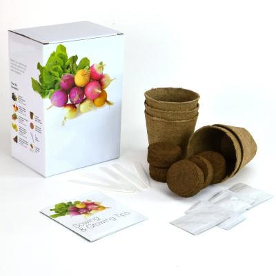 China Modern Gardening Accessories Color Box Pulp Cup Coconut Bran Block Amazon Top Selling Salad Vegetable Fantastic Kit for sale