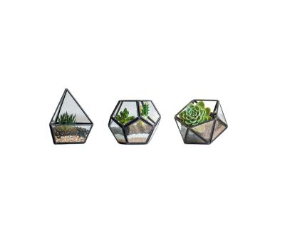 China Eco-friendly Mini Glass Geometric Terrarium Container Planter 3 Modern Windowsill Table Decoration Set for sale