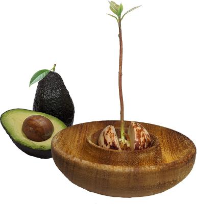 China CLASSIC Natural and Convenient Fishing Seed Avocado Seed Starter Hydroponic Floating Tray for sale