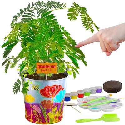 China Modern Ornamental Horticulture Children's Graffiti Planting Iron Flowerpot Cultivating Children's Planting Interest Grow Kit for sale