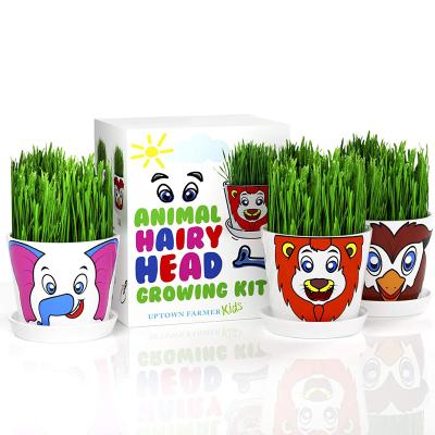 China Modern Ornamental Horticulture Kids Sticker Planting Plastic Flowerpot Cultivating Children's Planting Interest Grow Kit for sale