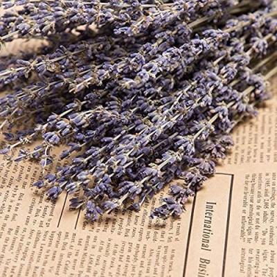 China HFlora Natural Preserved Plant Wholesale Supply 90g/Bundle Natural Lavender Bunch Of Flower For Home Wedding Decoration for sale