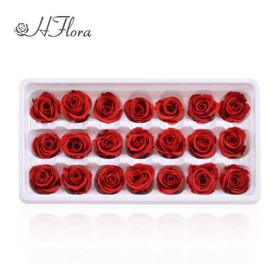 China Gift Hflora's Florist Supplies Wholesale 2-3cm Rosy Red Eternal Rose Flower Junio ​​Flor Preserved Rose Heads for sale