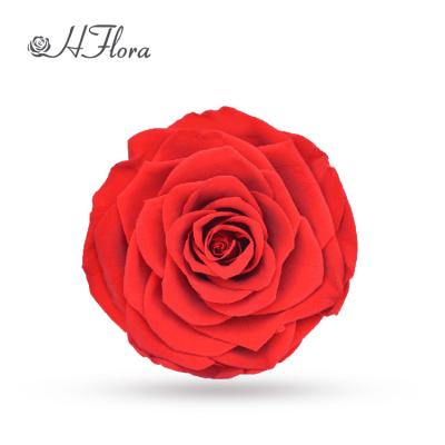 China Gift HFlora Wholesale One Grade Red Fresh 9-10cm Preserved Roses Flower Head For Gift Box for sale