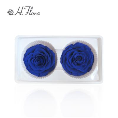 China HFlora Eternal Rose Eternal Flower 7-8cm En d'en Gift Teddies or Preserved Eternity Roses for sale