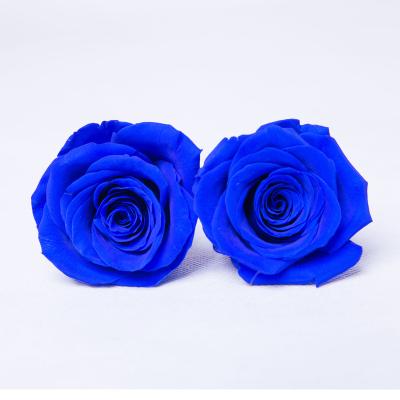 China Green Environmental Protection 4-5cm Wholesale Eternal Roses Forever Preserved Rose Heads Flowers for sale