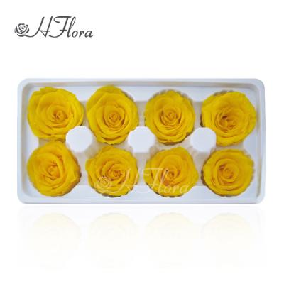 China Decoration Wholesale Price Handmade Preserved Flower Rose Head In Box For Household Decoration for sale