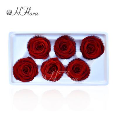 China Wedding Preserved Rose Head Winter Celebration Florist Supplies Material For Christmas Preserved Rose Decoration for sale