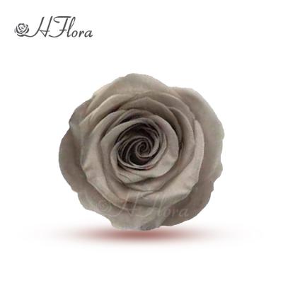 China Wedding Party Hotel Home Decoration Handmade Eternal HFloral 5~6cm Natural Single Color 6pcs/box Preserved Rose Head With Box For Valentine's Day Florist for sale