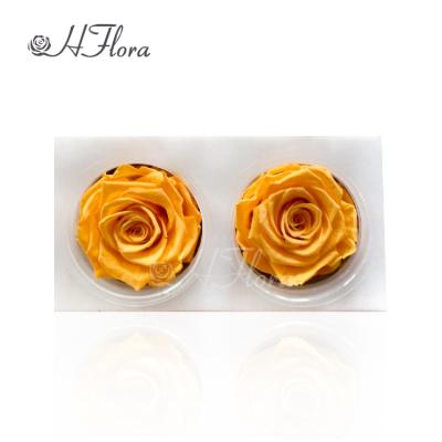 China Natural Supplier Directly High Quality Wholesale 7~8 cm Rose Bud Modern Novel Design Preserved Rose Head of Fresh Rose HFloral for Occasions for sale