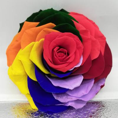 China Green Environmental Protection 9-10 cm Wholesale Decorative High Quality Rose Flower Head Bud Box Eternal Preserved Roses Rainbow Color Forever for sale