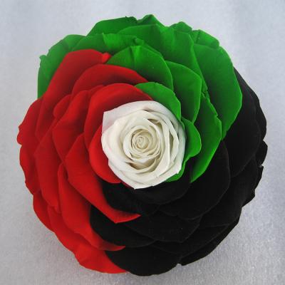 China 100% Natural Real New Product HFloral Fresh Flower Special Design Mixed Color Flowers Rose Preserved Rose Head For valentines gift for sale