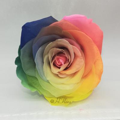 China Wholesale Decorative High Quality Green Colorful Environmental Protection 4-5cm Roses 60+ Eternal Preserved Colors Forever Rose Flower Head Bud Box for sale