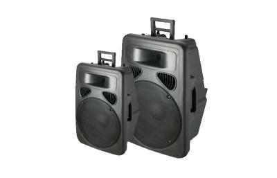 China 15 Inch Pro PA Audio Speakers , 2 way plastic speaker box with amplifier for sale