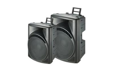 China 15 Inch Subwoofer Speaker 2 way , passive SPOKEN Plastic speaker for sale