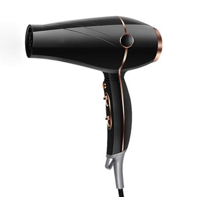 China Household Hair Dryer Ionic Professional Custom Reverse Hair Blow Dryer for sale