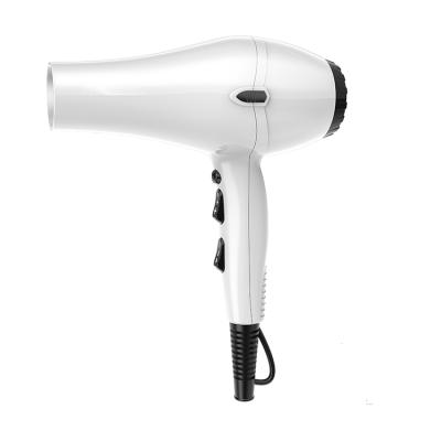 China Ionic Hair Beauty Hot Selling Hair Tools 2200W professional nano secadora de cabello technology hair dryer for sale