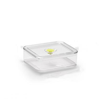 China Eco-friendly Plastic Clear Freshness Storage Container Kitchen Food Box Crisper With Lid for sale