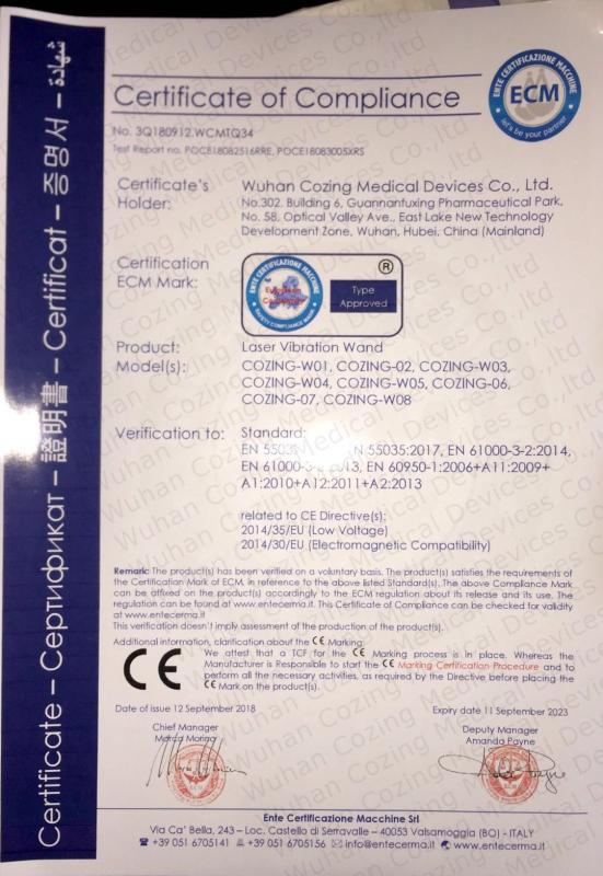 CE - Wuhan Cozing Medical Devices Co., Ltd.