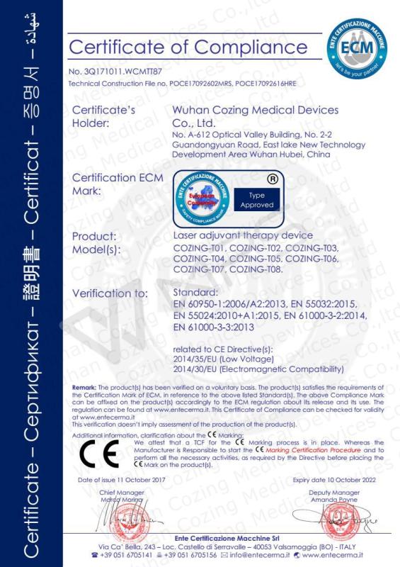 CE - Wuhan Cozing Medical Devices Co., Ltd.