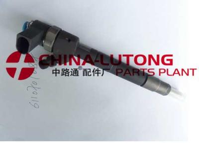 China Bosch Common Rail  Injector for Mercedes Benz -Diesel Engine Parts 0 445 110 107 for sale