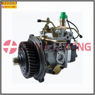 China VE Injection Pump-Diesel Injection Pump 11F1900LNJ03 for sale