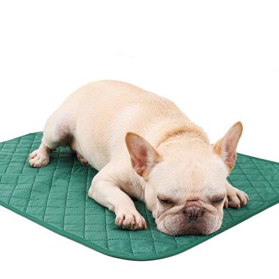 China Sustainable Reusable Washable Dog Sleeptight Pee Pad / Small Training Mat Toilet Pee Pads / Puppy Pet Training for sale