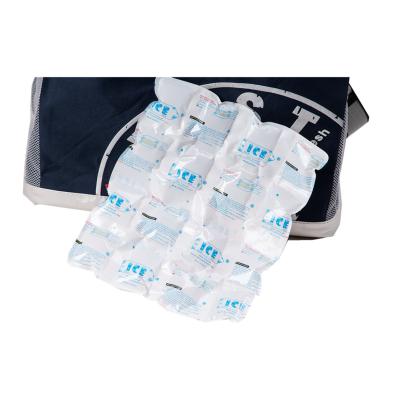 China OEM Supermarket Reliable Quality Mini Insulated Dry Ice Pack for Food Delivery for sale