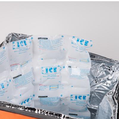 China Custom Logo Insulated Gel Ice Pack With Blast Freezer Container For Travel for sale