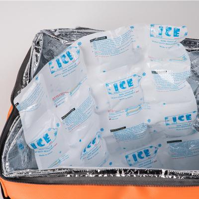 China Custom Logo Dry Ice Insulated Disposable Package With Cold Chain Shipping Bag For Outdoor for sale