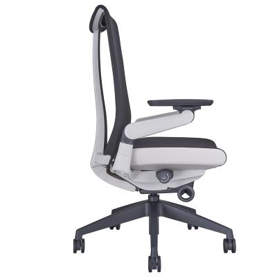 China Manufacturer Supply Adjustable (Height) High Quality Ergonomic Office Chair for sale