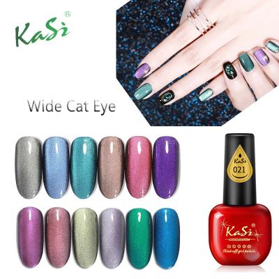 China Factory Sale Shop 5D Cat Eye Gel Nail Polish for Nail Art 15ml for sale