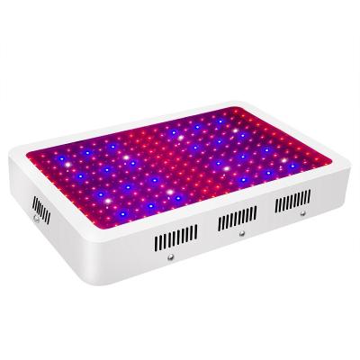 China Seed Seeding Rectangular Indoor Warehouse Basement Plant Planter 2000w For Growing Led Light for sale