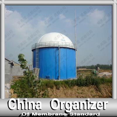 China 2015 Hot Industry Fuel Tanks / China Biogas Anaerobic Digestion Digester / Bio Gas Equipment for sale