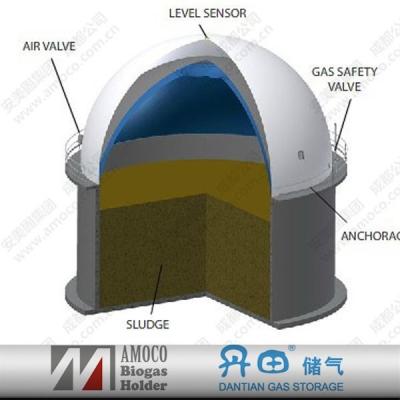 China Industry Fuel 2015 China Anaerobic Digestion Biogas Plant Bio Gas Digester for sale