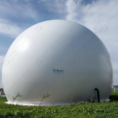 China 2020 Hotel Gas Support for Sewage Treatment Biogas Plant for sale