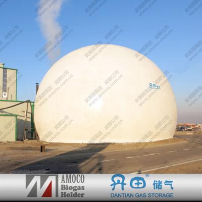 China Plant waste industry fuel biomass, biogas balloon price for sale