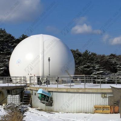 China Industry fuel biogas storage top mounted biodigester for biogas plant digester in Finland for sale