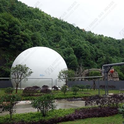 China High Quality Hotels Membrane Biogas Storage Bag For Anaerobic Digester In South Africa for sale